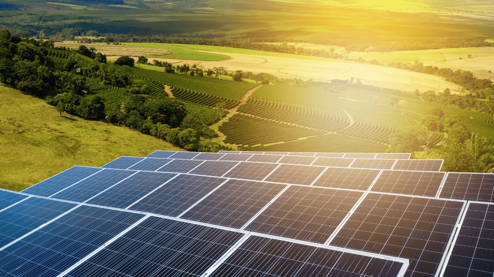 solar-panels-on-farm